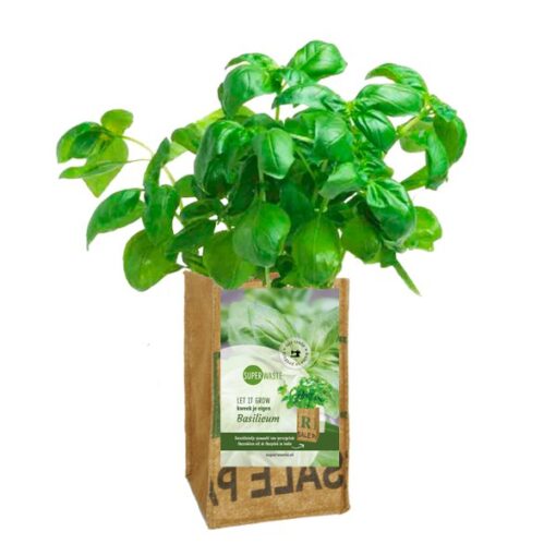 Let it Grow Kweektuintje - Basilicum