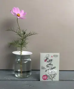 Bloemenzaden 'Blijdschap zaaien'