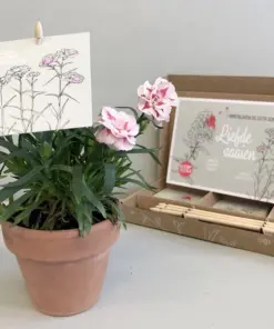 Cadeaudoosje 'Liefde zaaien'
