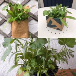 Alternative view of Let it Grow Hangtuintje - Kamille