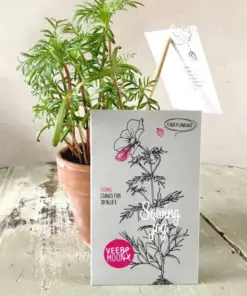 Bloemenzaden 'Blijdschap zaaien'