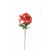 ZIMBA-ARTS METAAL ALLIUM BLOEM ROOD