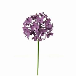 ALLIUM BLOEM PAARS
