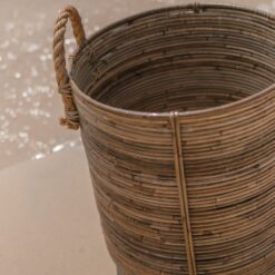 Rotan