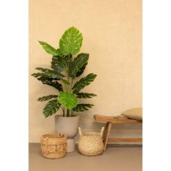 Alternative view of Monstera Kunstplant 145cm