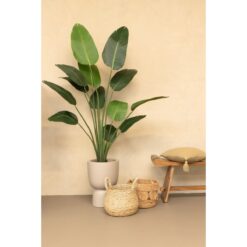 Alternative view of Strelitzia Kunstplant 180cm