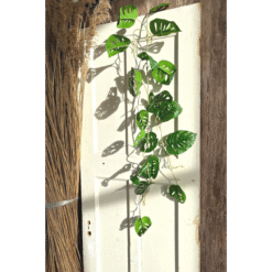 Alternative view of Monstera Monkey Bush Kunstslinger 120cm (Guirlande)