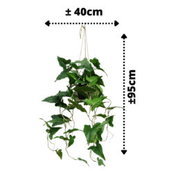 Alternative view of Typhonium Kunst Hangplant 95cm