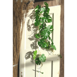 Alternative view of Monstera Kunstslinger 120cm (Guirlande)