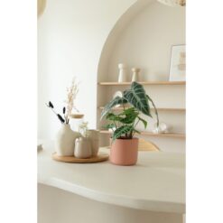 Alternative view of Caladium Kunstplant 38cm