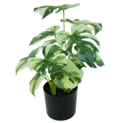 Alternative view of 3st. Monstera Kunstplant 40cm
