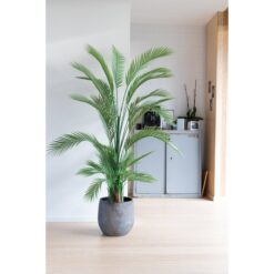 Alternative view of Kunstpalm 180cm