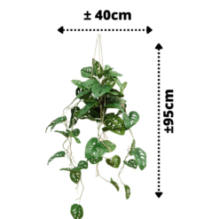 Alternative view of Monstera Monkey Bush Kunst Hangplant 95cm