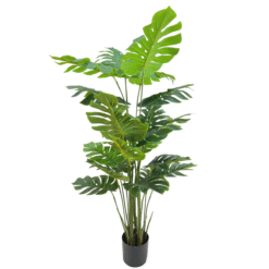 Alternative view of Monstera Madness - Kunstplantenpakket