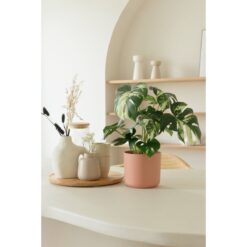 Alternative view of Monstera Kunstplant 40cm