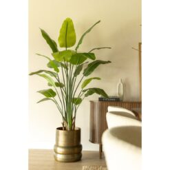 Alternative view of Strelitzia Kunstplant 180cm