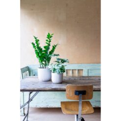Alternative view of Zamioculcas Kunstplant 75cm