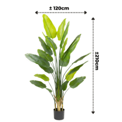 Alternative view of Strelitzia Kunstplant 210cm