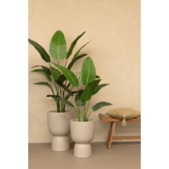 Alternative view of Strelitzia Kunstplant 120cm