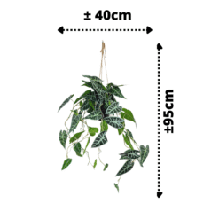 Alternative view of Caladium Kunst Hangplant 95cm