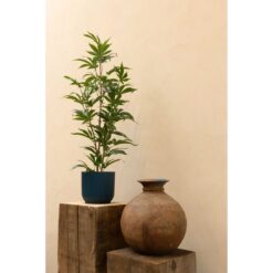 Alternative view of Aralia Kunstplant 100cm