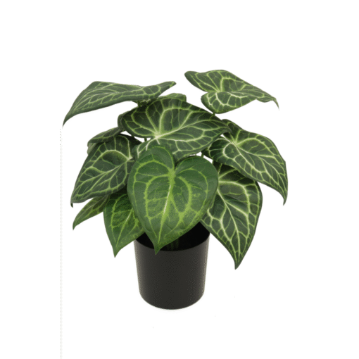 Syngonium Kunstplant 30 cm
