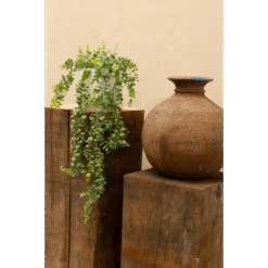 Alternative view of Eucalyptus Kunst Hangplant 60cm