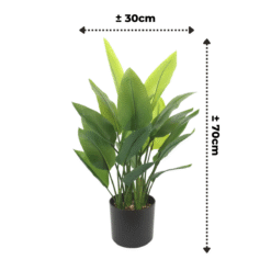 Alternative view of Strelitzia Kunstplant 70cm