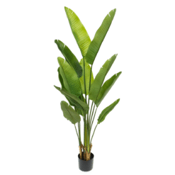 Alternative view of Strelitzia Kunstplant 160cm