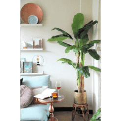 Alternative view of Kunst Bananenplant 180cm