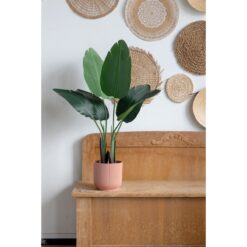 Alternative view of Strelitzia Kunstplant 90cm