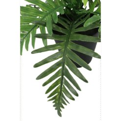 Alternative view of Pteris Kunstplant 20cm