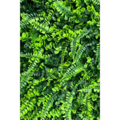 Alternative view of Kunsthaag Varen/Buxus 60x40cm