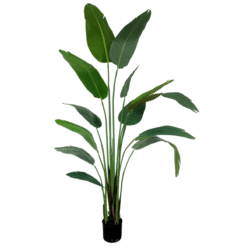Alternative view of Strelitzia Kunstplant 210cm