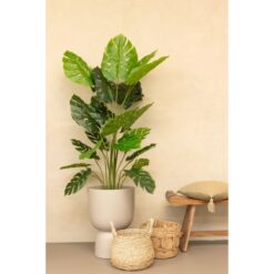 Alternative view of Monstera Kunstplant 165cm