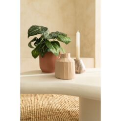 Alternative view of Syngonium Kunstplant 30 cm