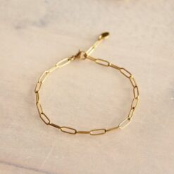 Alternative view of SA808 - Stalen armband met D-ketting - goud