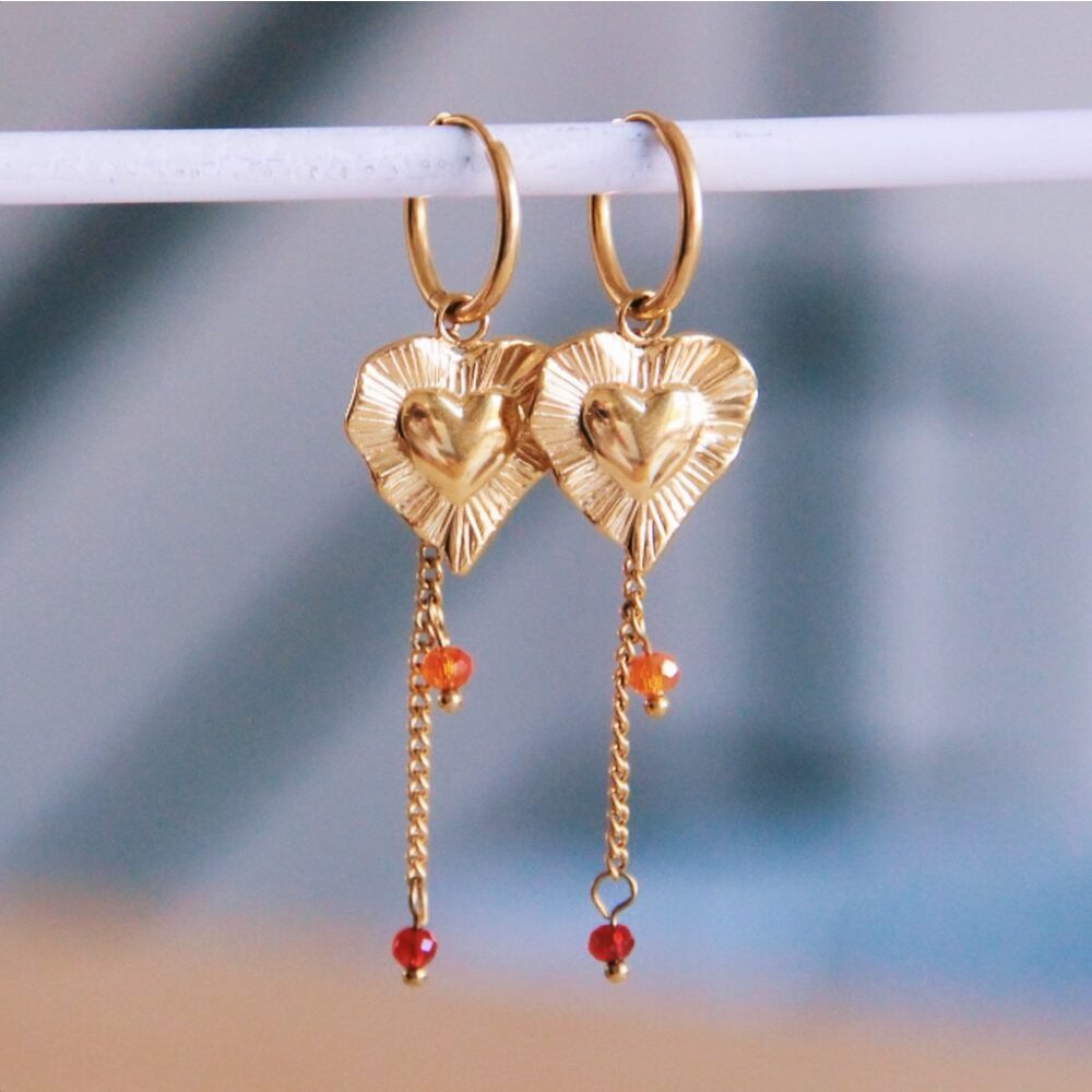 Roestvrijstalen oorbel met facet streep verwerkt hart