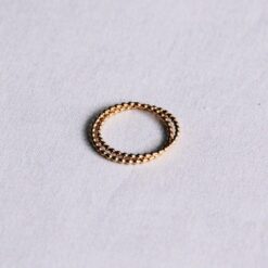 RVS dubbel gestippelde ring