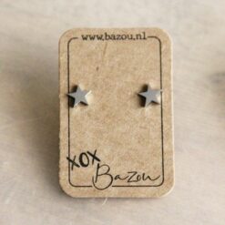 OS433 - Edelstalen oorstekers ster - zilver