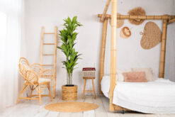 Alternative view of Agave kunstplant Deluxe 170 cm