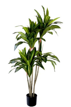 Kunstplant Dracaena fragrans 150 cm
