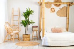 Alternative view of Kunstplant Dracaena fragrans 150 cm