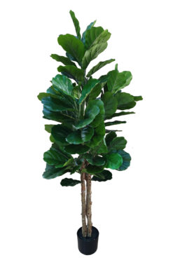 Kunstplant Vioolbladplant (Ficus lyrata) 160 cm - stijlvolle vioolbladplant