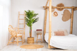 Alternative view of Kentia palm kunstplant 170 cm - Tropisch design voor binnen