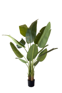 Kunstplant Strelitzia 150 cm realistisch aanvoelend