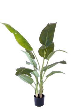 Kunstplant Strelitzia 180 cm echt aanvoelend