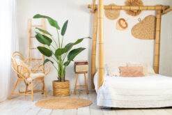 Alternative view of Kunstplant Strelitzia 180 cm echt aanvoelend