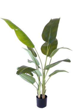 Kunstplant Strelitzia 200 cm realistisch aanvoelend