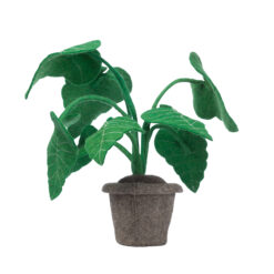 KidsDepot Alocasia-plant - groen